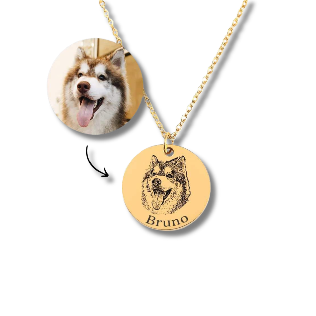 huskyno.png__PID:b5dd4969-63eb-4c01-a7dc-abff5a35f36b